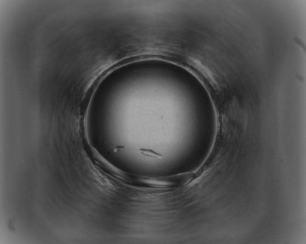 X0000091981260200709131405