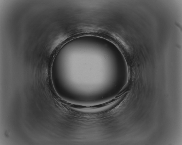 X0000091981261200709131405