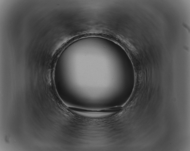 X0000091981262200709131405