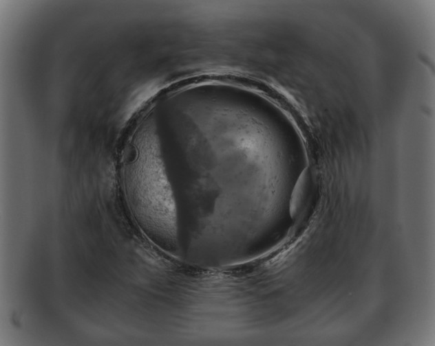 X0000091981263200709131405