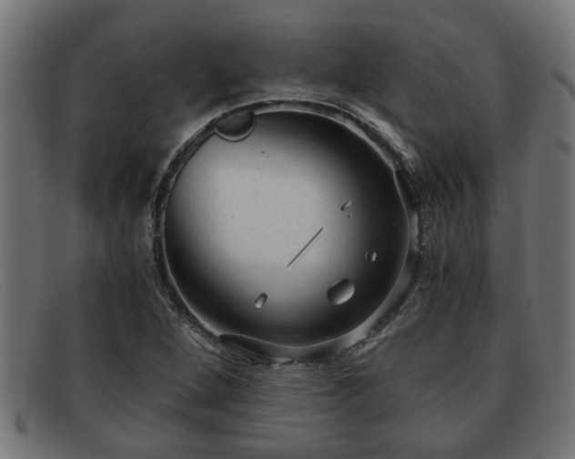 X0000091981264200709131405