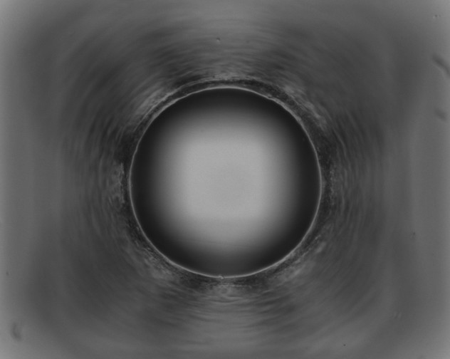 X0000091981265200709131405