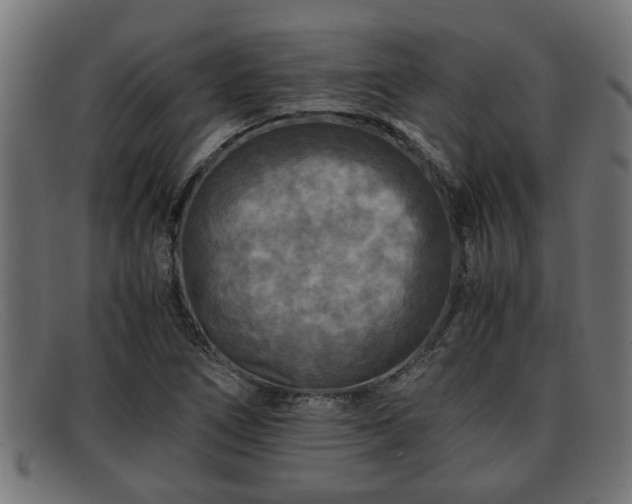 X0000091981266200709131405