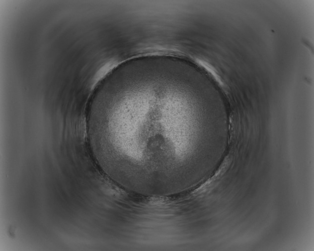 X0000091981267200709131405