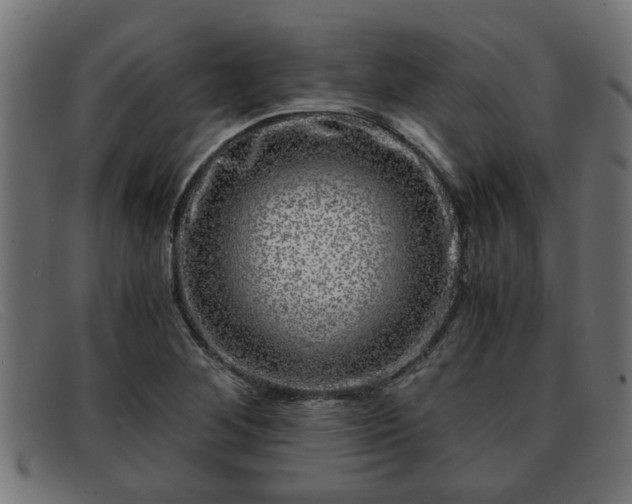 X0000091981268200709131405