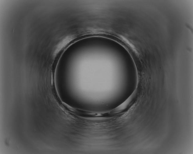 X0000091981269200709131405