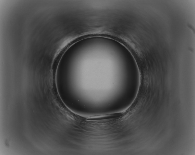 X0000091981270200709131405