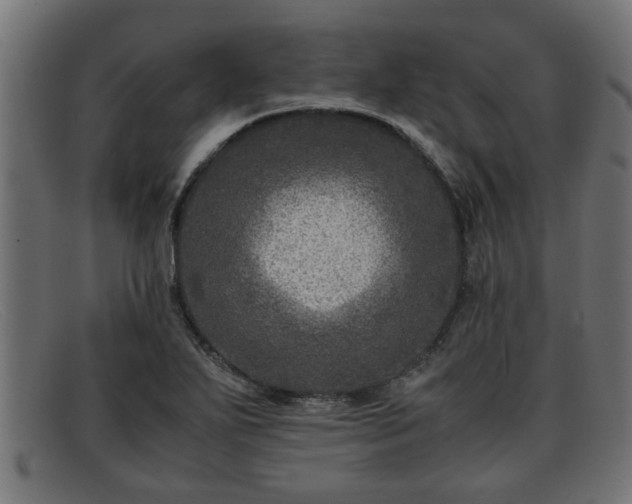 X0000091981271200709131405