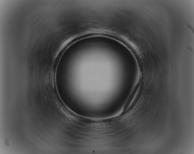 X0000091981272200709131405