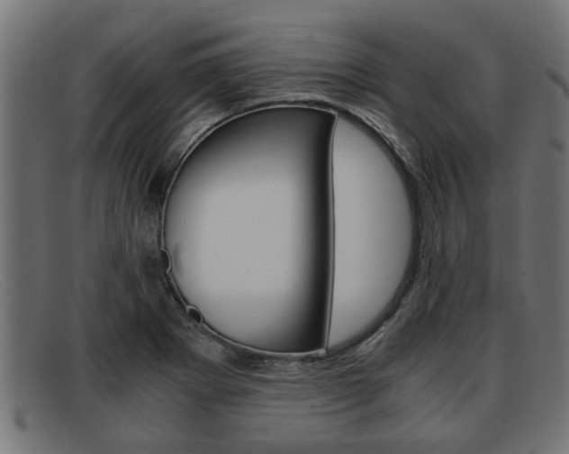 X0000091981273200709131405