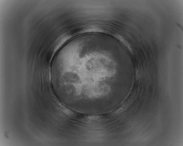 X0000091981274200709131405