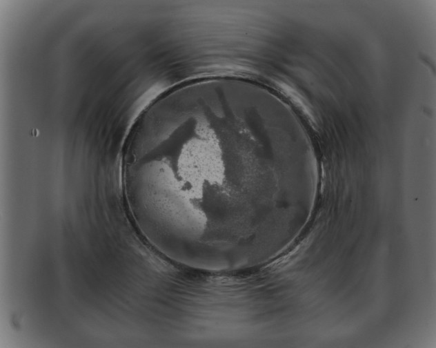 X0000091981275200709131405