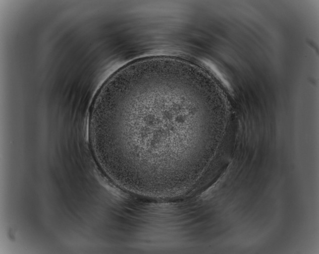 X0000091981276200709131405