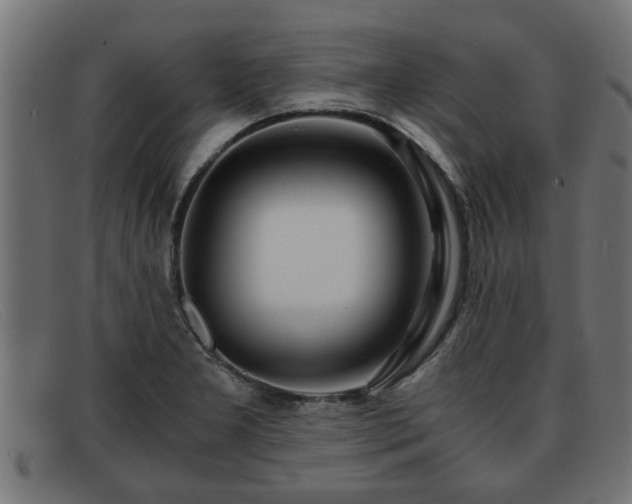 X0000091981277200709131405