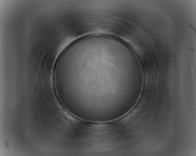 X0000091981278200709131405