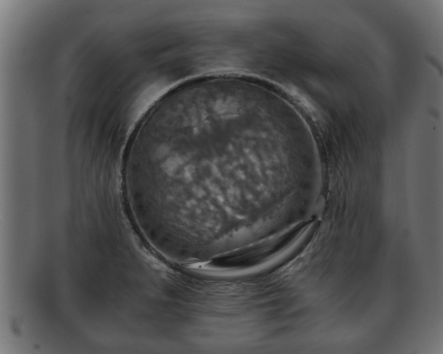 X0000091981279200709131405