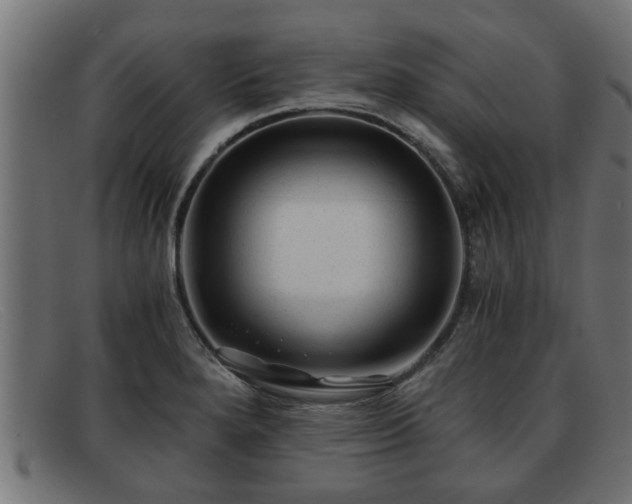 X0000091981280200709131405