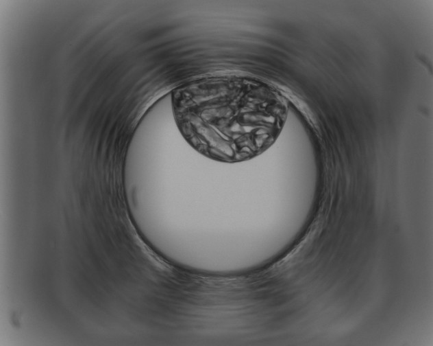 X0000091981281200709131405