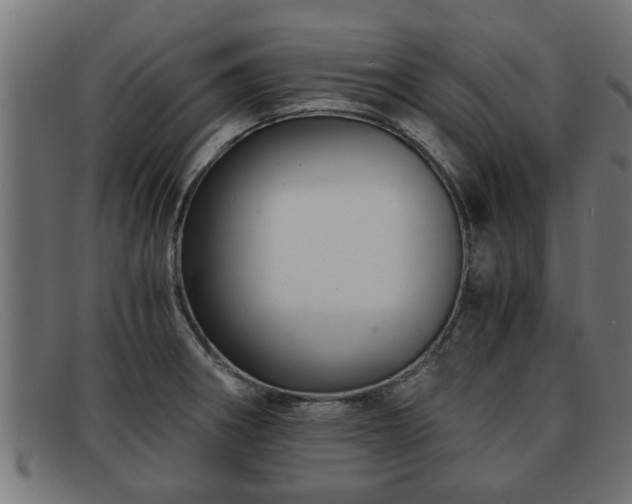 X0000091981282200709131405