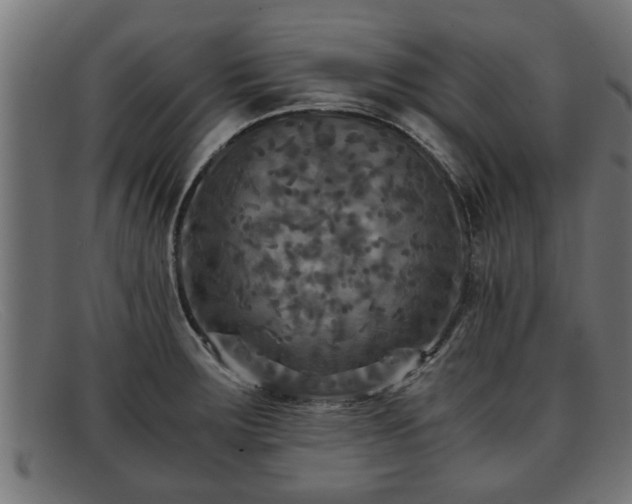 X0000091981283200709131405