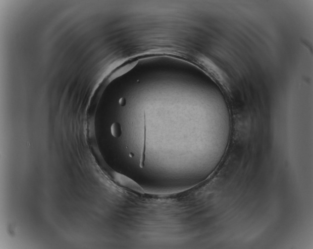 X0000091981284200709131405