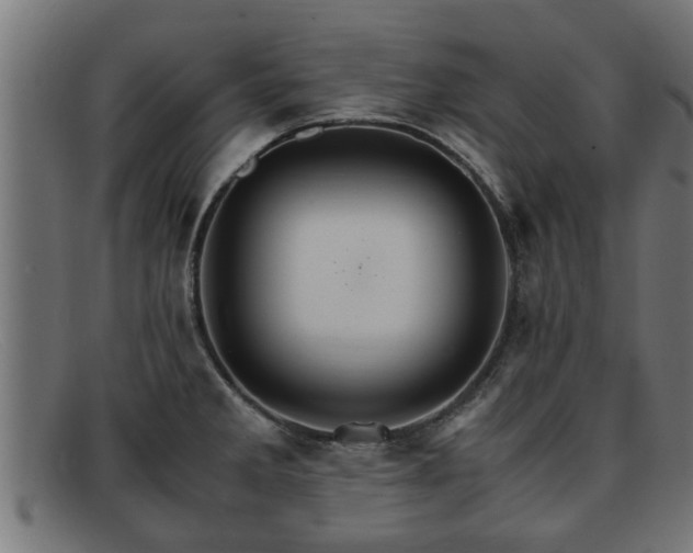 X0000091981285200709131405