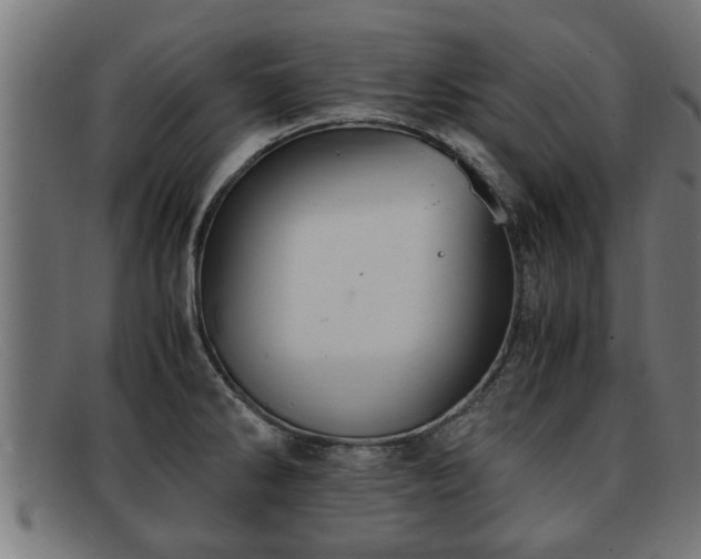 X0000091981286200709131405