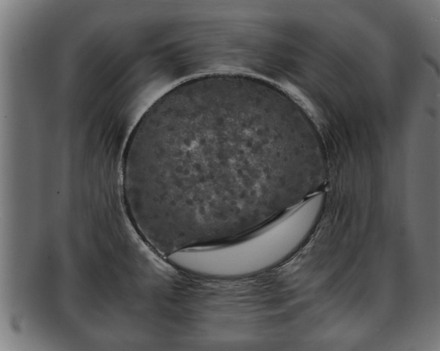 X0000091981287200709131405