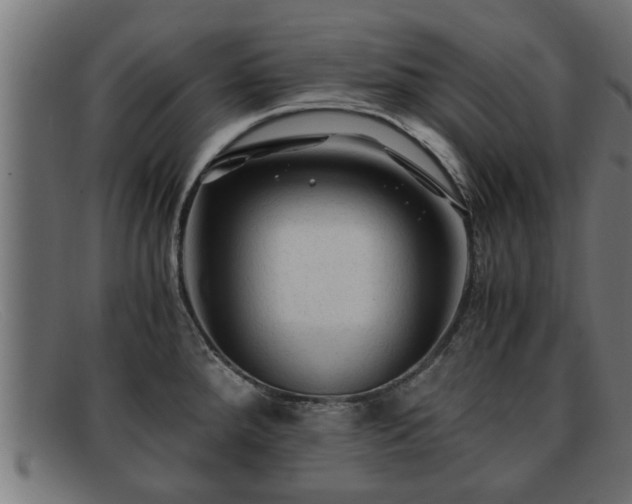 X0000091981288200709131405