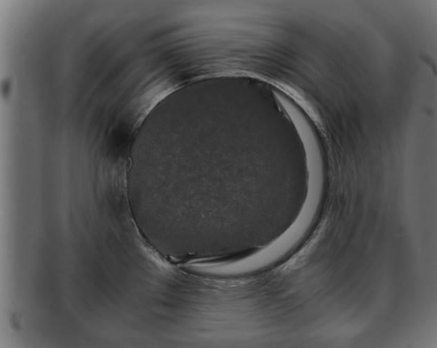 X0000091981289200709131405