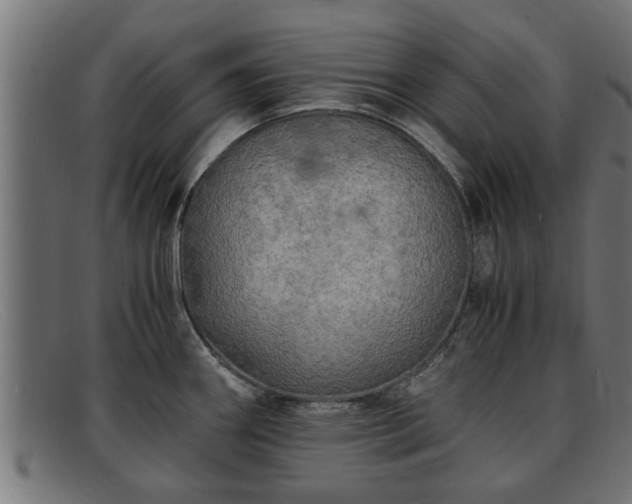 X0000091981290200709131405