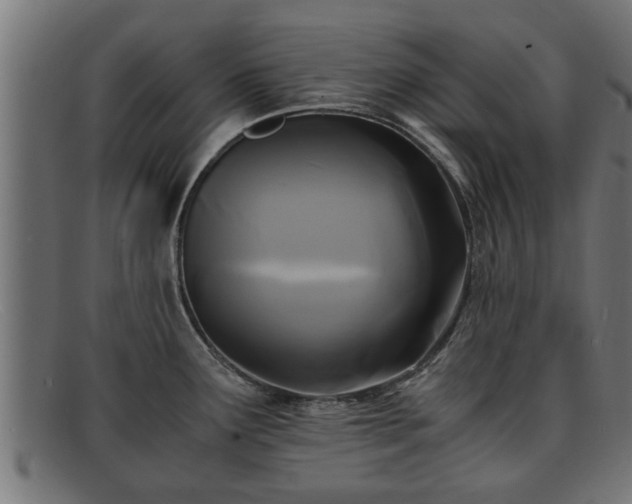 X0000091981291200709131405