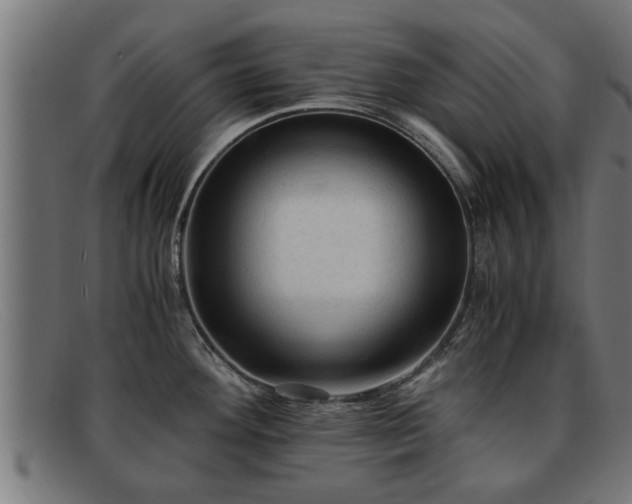 X0000091981292200709131405