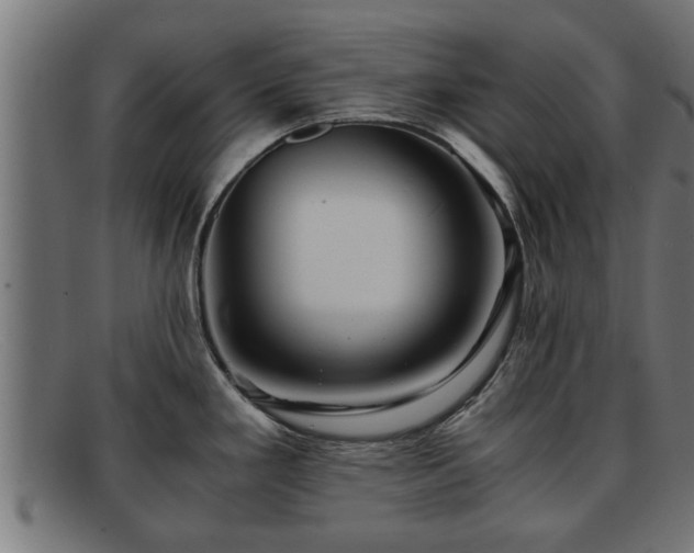 X0000091981293200709131405