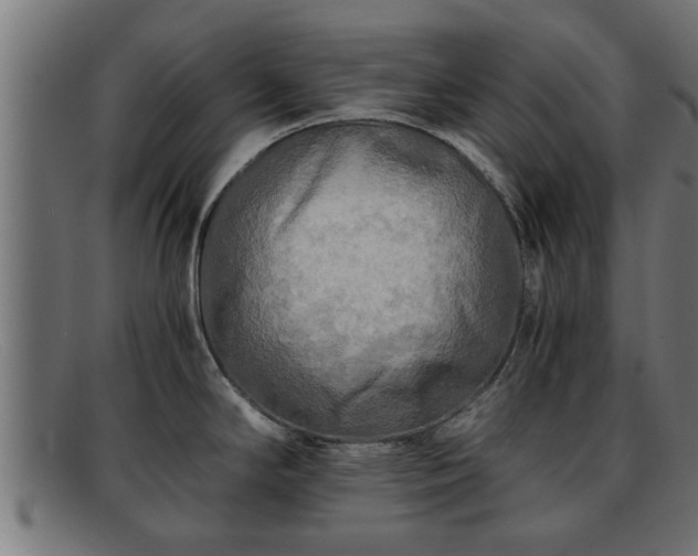 X0000091981294200709131405