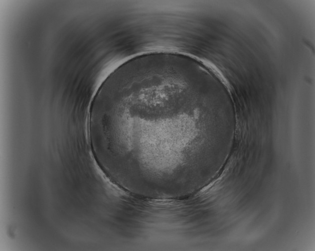 X0000091981295200709131405