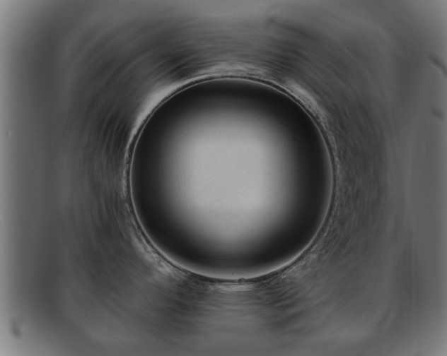 X0000091981296200709131405