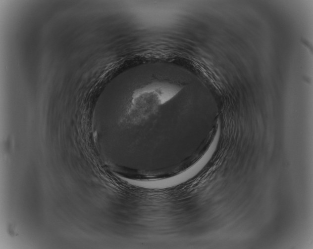 X0000091981297200709131404