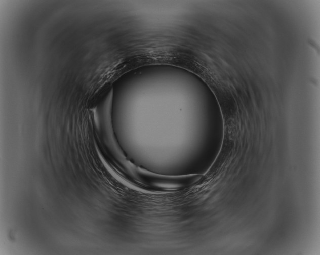 X0000091981298200709131404