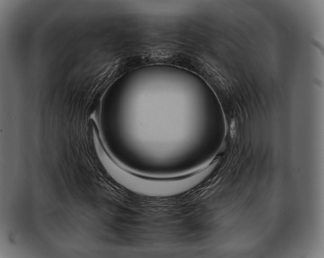 X0000091981299200709131404