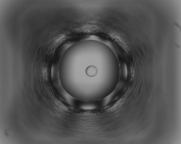 X0000091981300200709131404