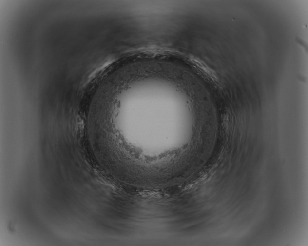 X0000091981302200709131404