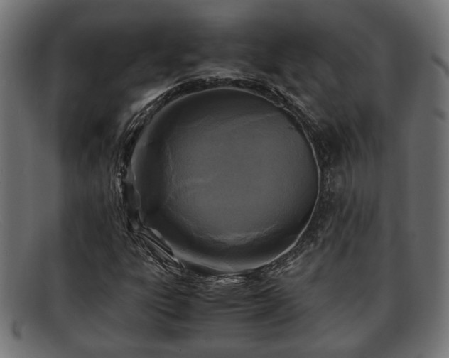 X0000091981303200709131404