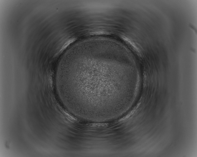 X0000091981305200709131404