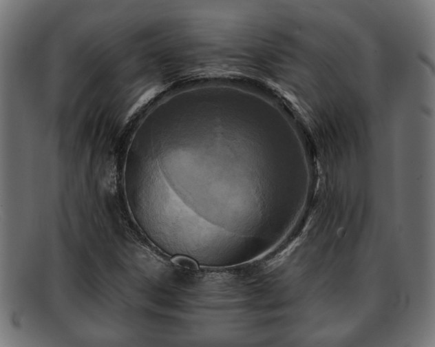 X0000091981306200709131404