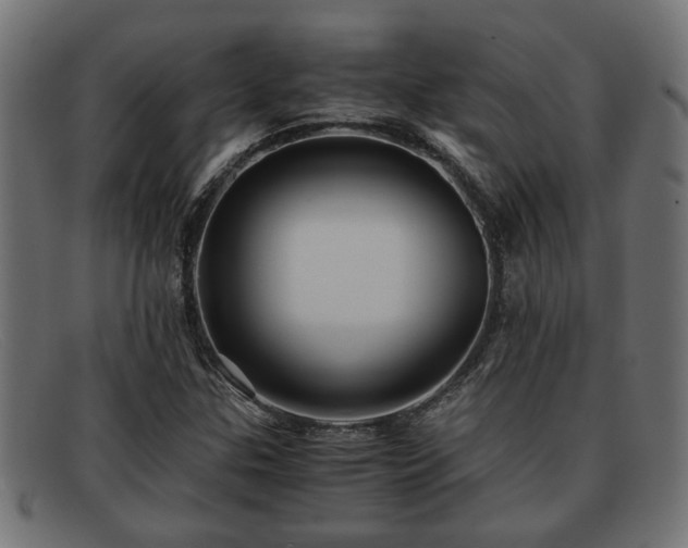 X0000091981307200709131404