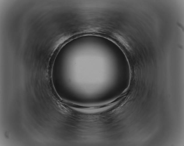 X0000091981308200709131404