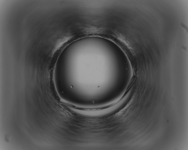 X0000091981309200709131404