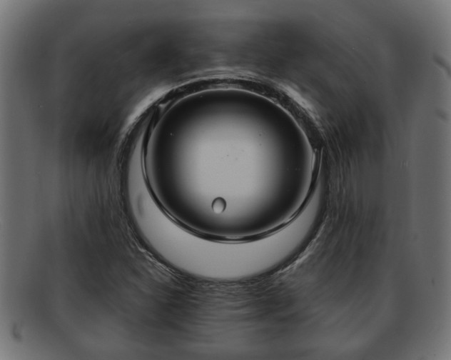 X0000091981310200709131404