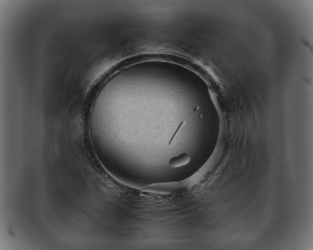 X0000091981311200709131404